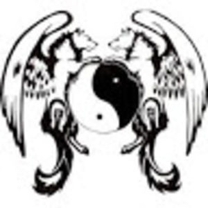 Meet your Posher, Peyton